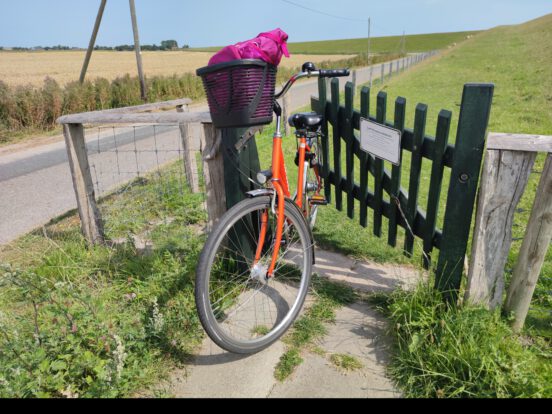 Fahrradfahren an der Nordsee